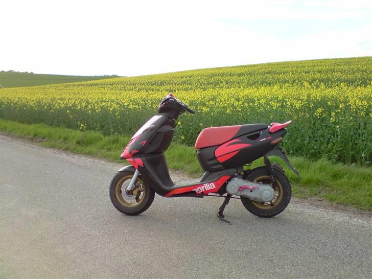 Aprilia Sonic AC - Forår 2010 billede 3