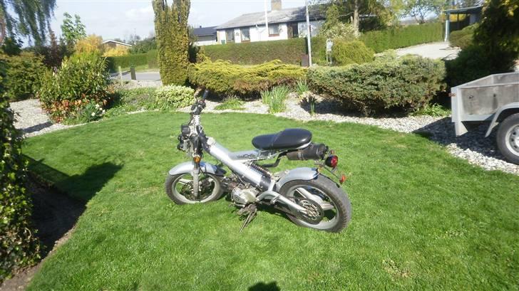 Sachs Madass billede 12