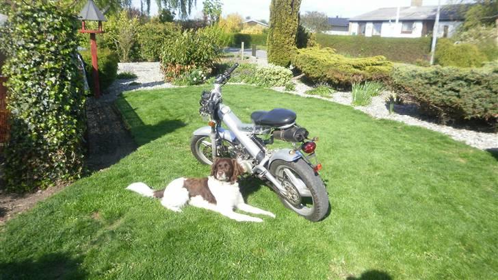 Sachs Madass billede 13