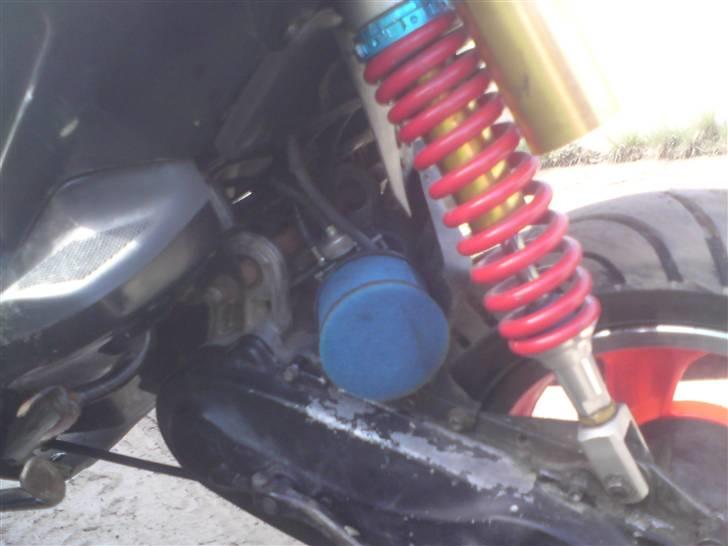 TGB Pegasus 303r Hawk billede 11