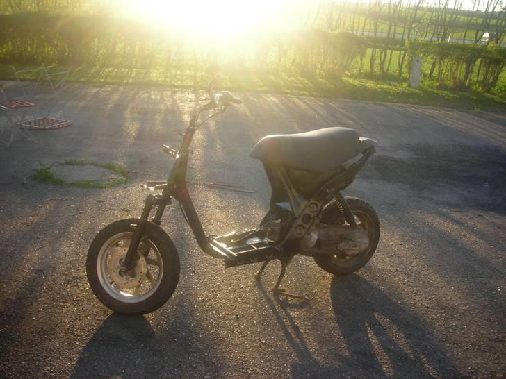 Atala hacker (SOLGT) billede 1