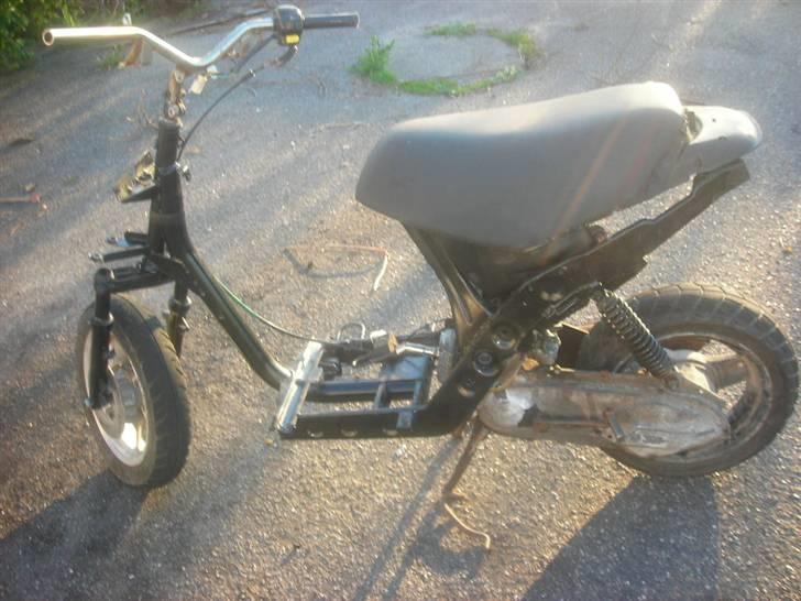 Atala hacker (SOLGT) billede 2