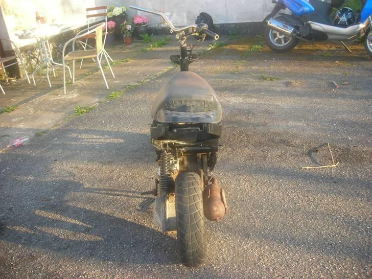 Atala hacker (SOLGT) billede 3