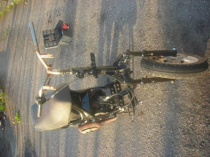 Atala hacker (SOLGT) billede 5