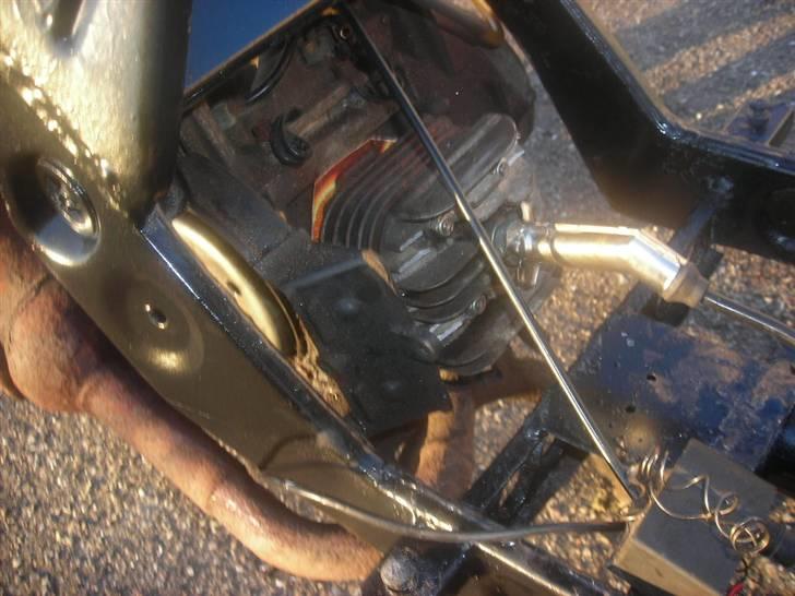 Atala hacker (SOLGT) billede 8