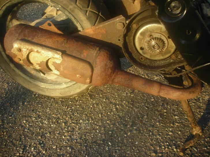 Atala hacker (SOLGT) billede 9