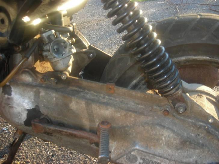 Atala hacker (SOLGT) billede 10