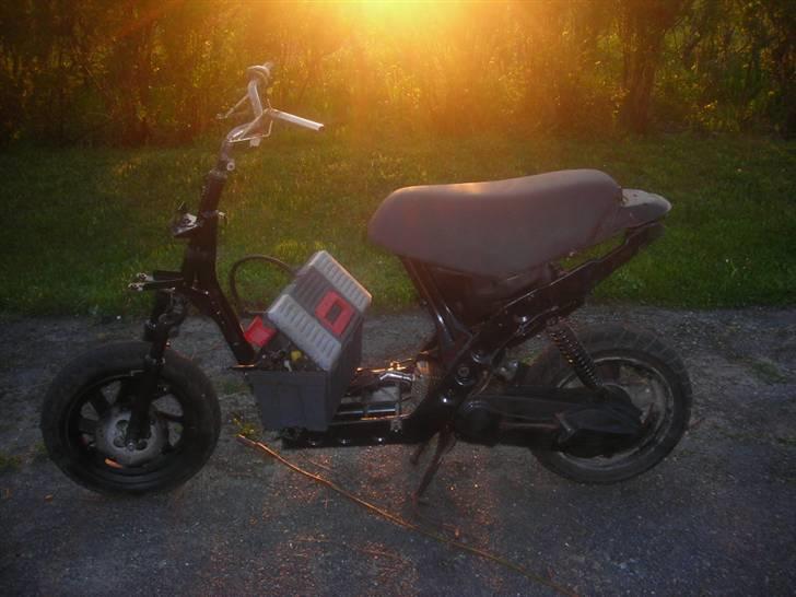 Atala hacker (SOLGT) billede 11