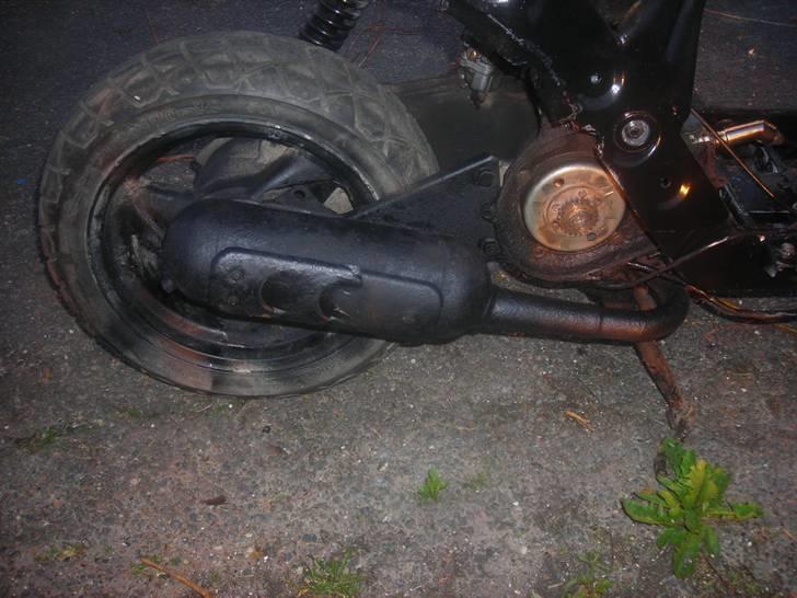 Atala hacker (SOLGT) billede 13