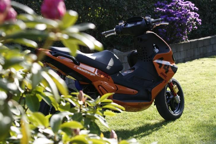 Gilera Runner SP LC DD billede 8