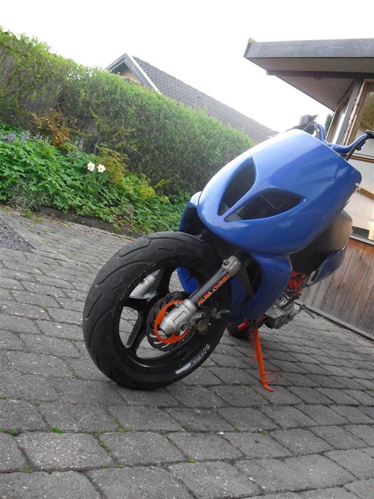 Aprilia Custom Sonrox .(GONE) billede 1