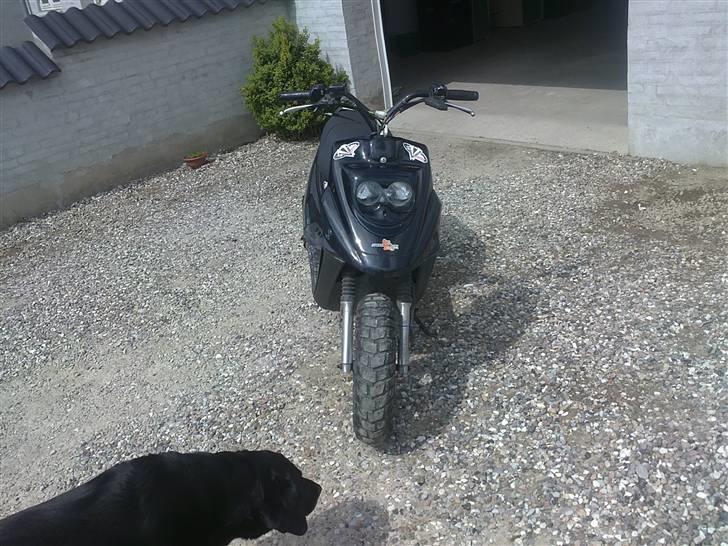 PGO hot 50 solgt billede 3