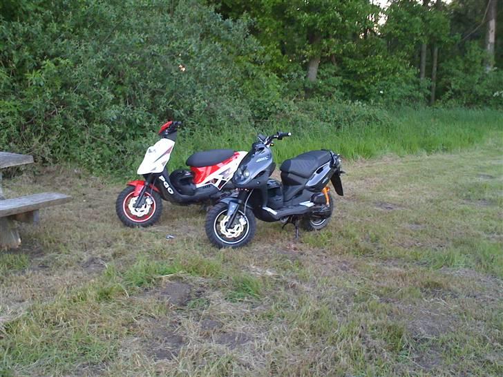 PGO PMX NAKED CARBON SOLGT billede 5