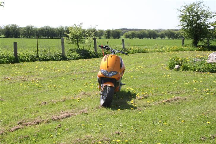 Gilera Runner redtop billede 1
