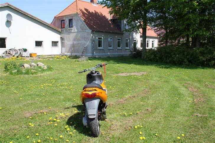 Gilera Runner redtop billede 3