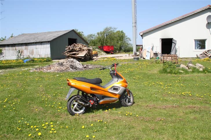 Gilera Runner redtop billede 4