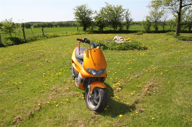 Gilera Runner redtop billede 6