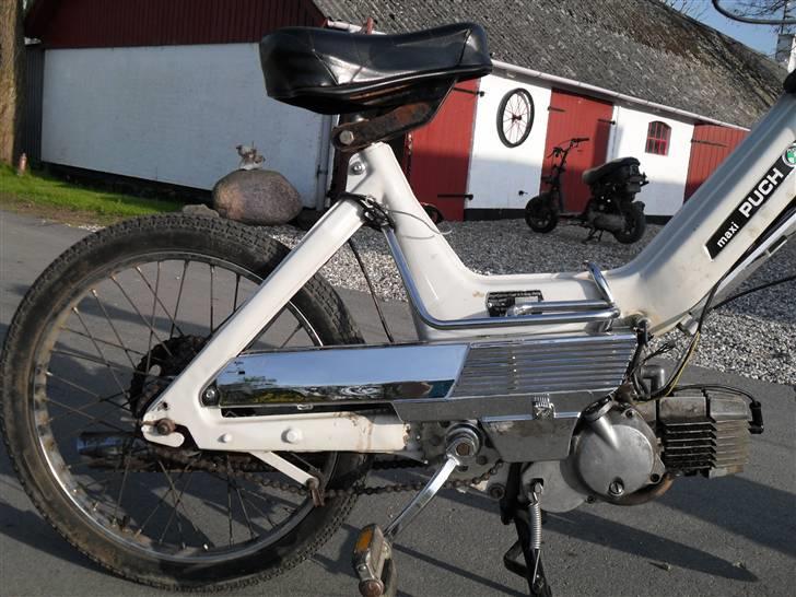 Puch Maxi P billede 9