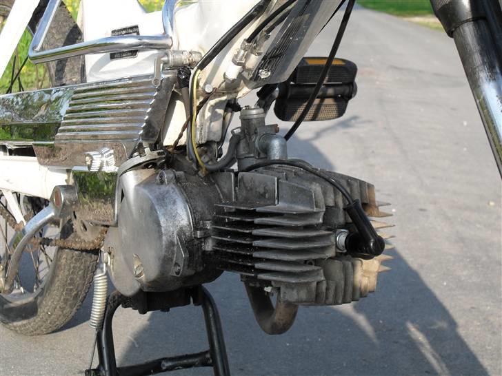 Puch Maxi P billede 12