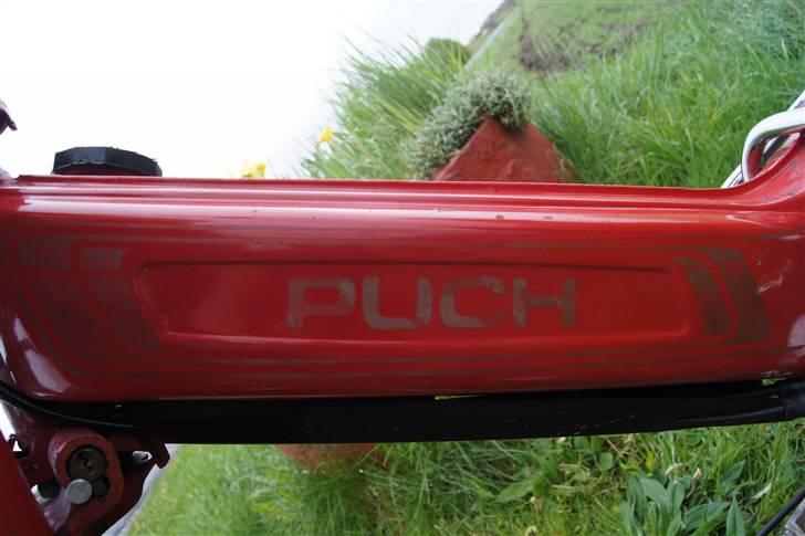 Puch maxi k SOLGT billede 5