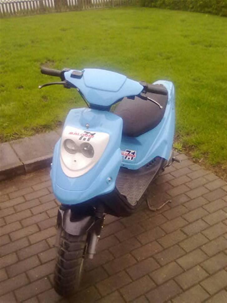 PGO Hot 50 billede 1