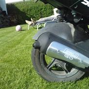 PGO Black Magic (SOLGT)