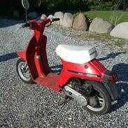 Honda Honda Melody (-;