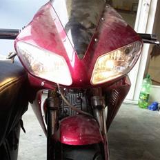 MiniBike Superbike R1/R6/X7 DD