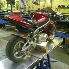 MiniBike Superbike R1/R6/X7 DD