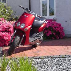 Yamaha Neo's slogt