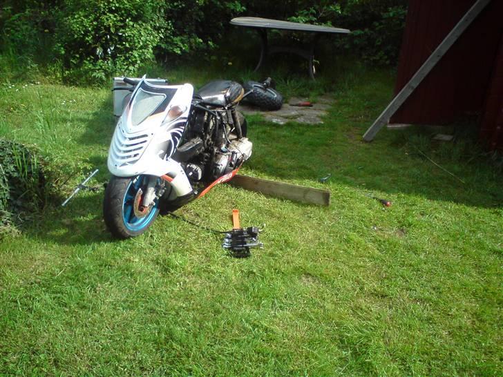 Suzuki Hoff-Rod billede 2