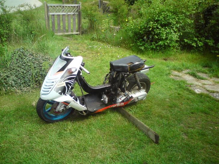 Suzuki Hoff-Rod billede 3