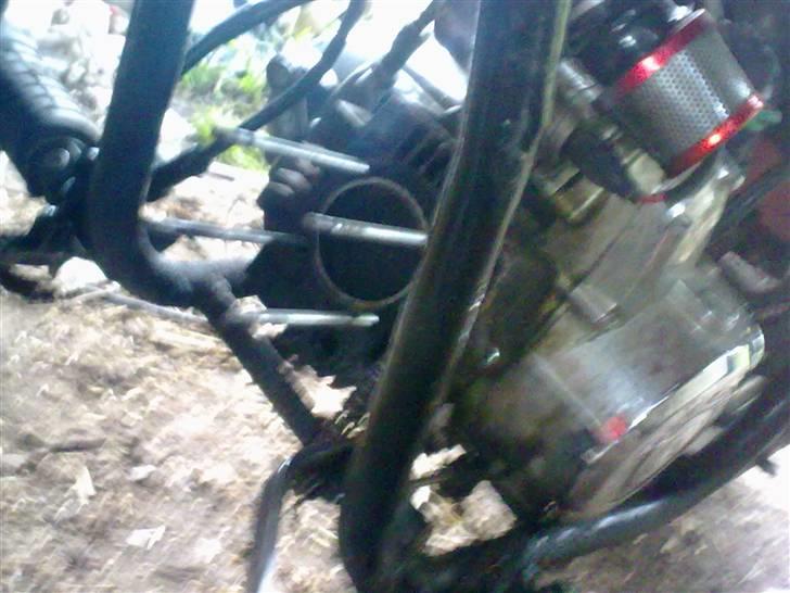 Regal regal raptor - skulle ha skiftet cylle :D billede 3