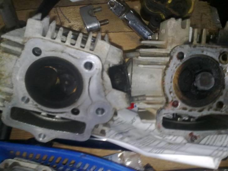 Regal regal raptor - et billed af det nye og gammle topstykke :D billede 5