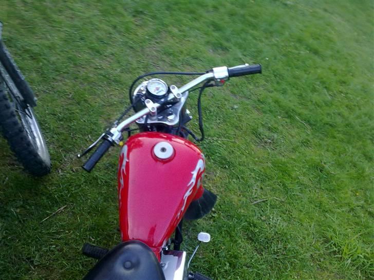 Regal regal raptor - jah det er et hot tankdæksel :p billede 12