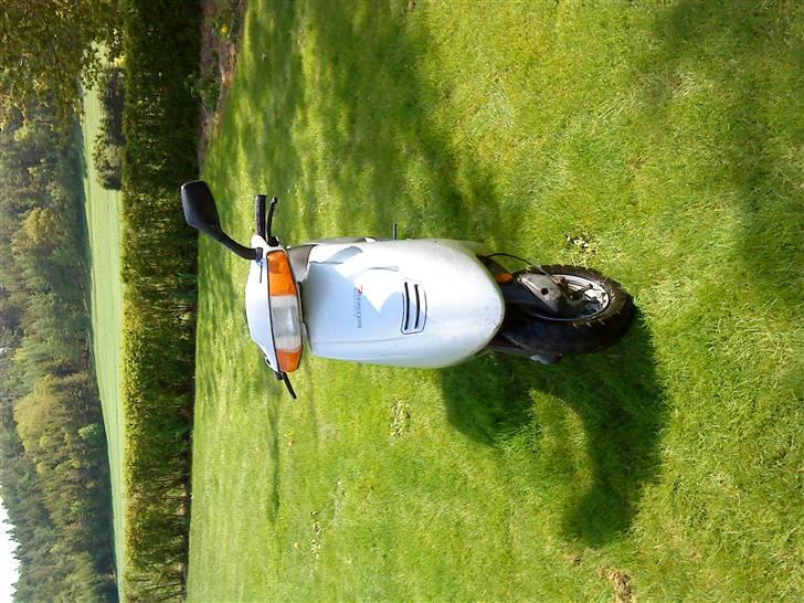 Aprilia Amico - Solgt billede 2