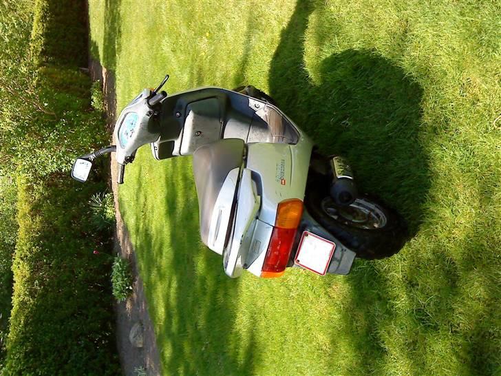 Aprilia Amico - Solgt billede 6