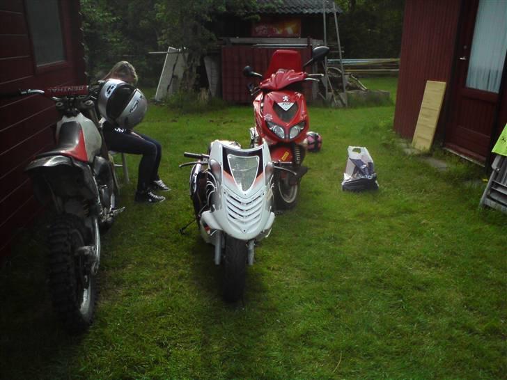 Suzuki Hoff-Rod billede 4