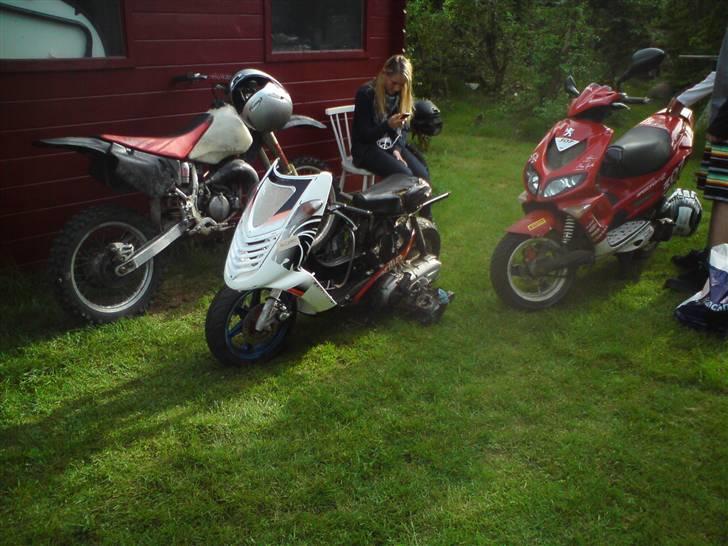 Suzuki Hoff-Rod billede 5