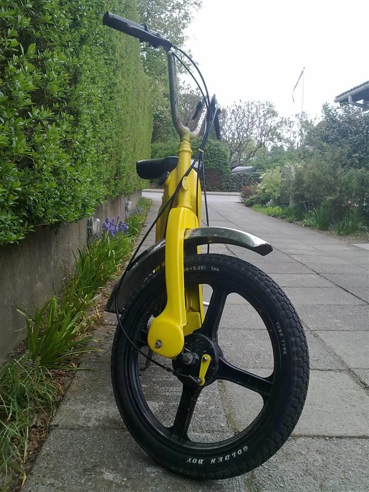 Piaggio caio ($olgt) billede 11