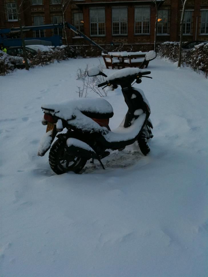 PGO Hot 50 billede 2