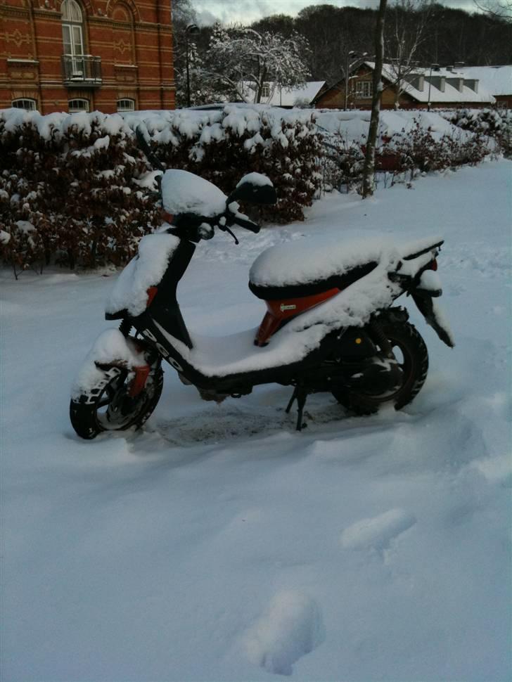 PGO Hot 50 billede 3