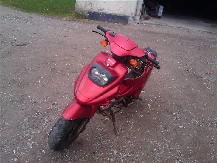 PGO big max billede 1