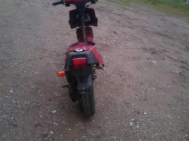 PGO big max billede 4