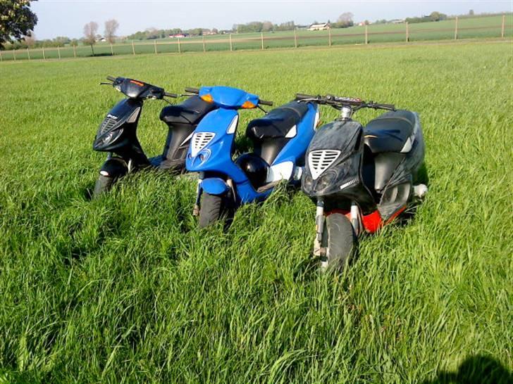 Piaggio nrg mc3 *byttet* billede 13