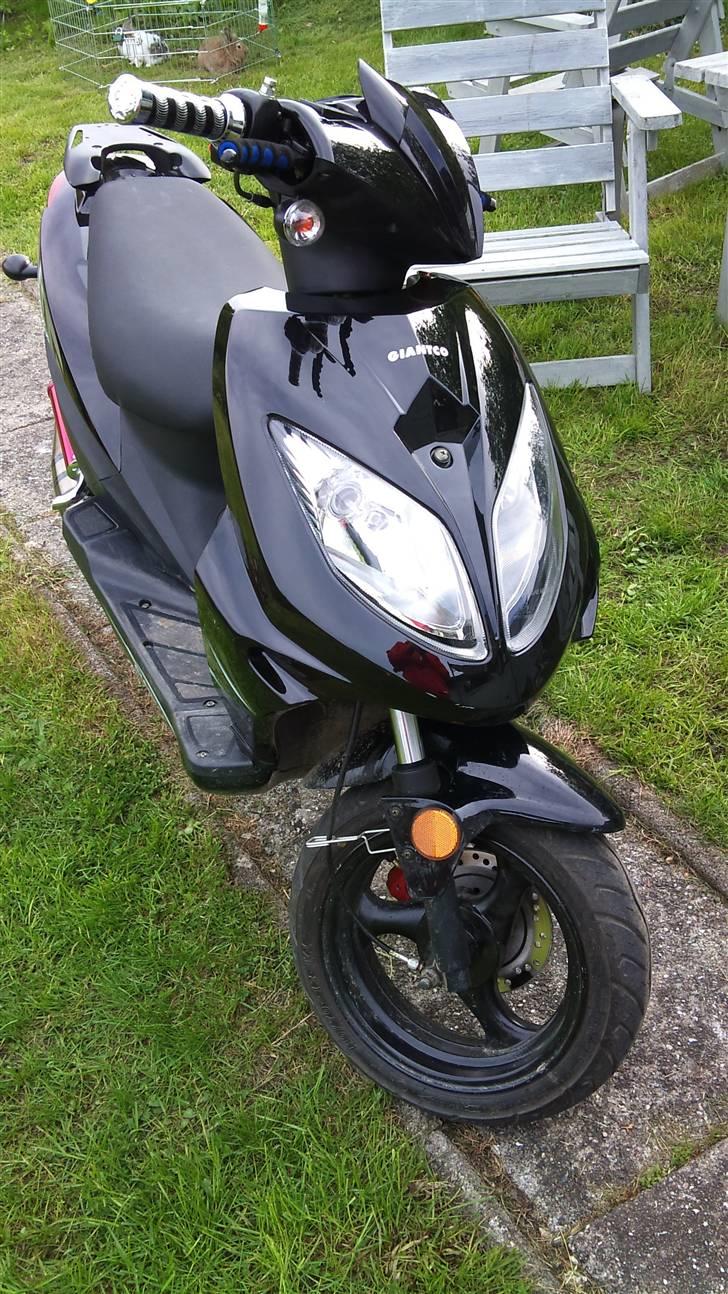 Giantco Stealth billede 2