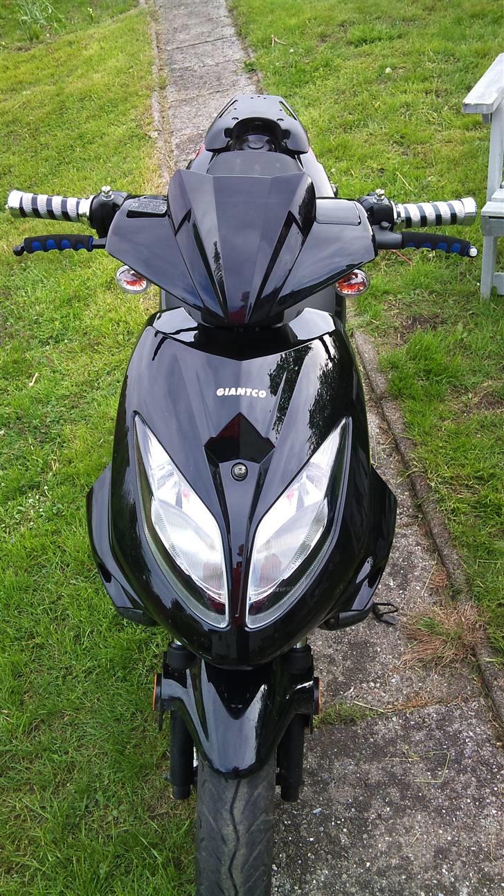 Giantco Stealth billede 6