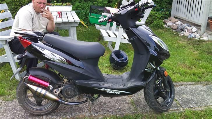 Giantco Stealth billede 9