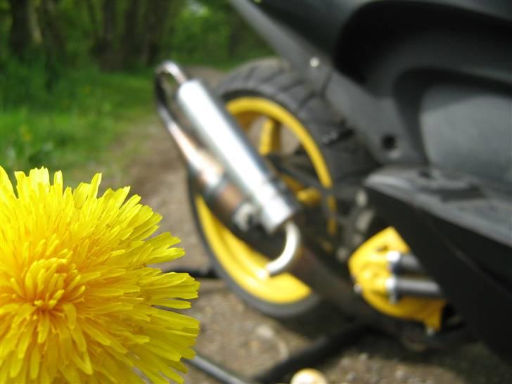 Aprilia Sr50 Ts T7 21,50 HK billede 9