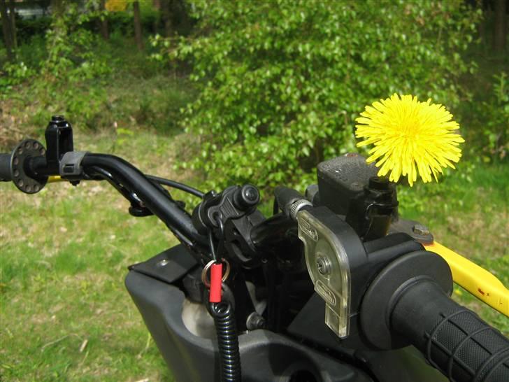 Aprilia Sr50 Ts T7 21,50 HK billede 10